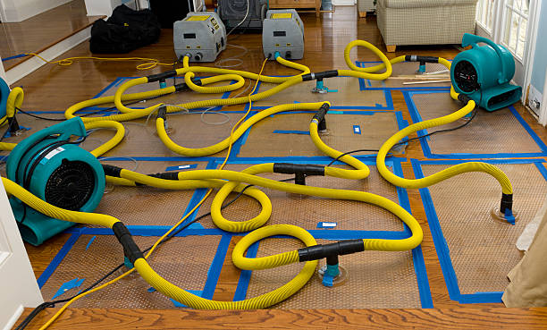 Professional Burst Pipe Water Damage technician working in Cherokee, AL